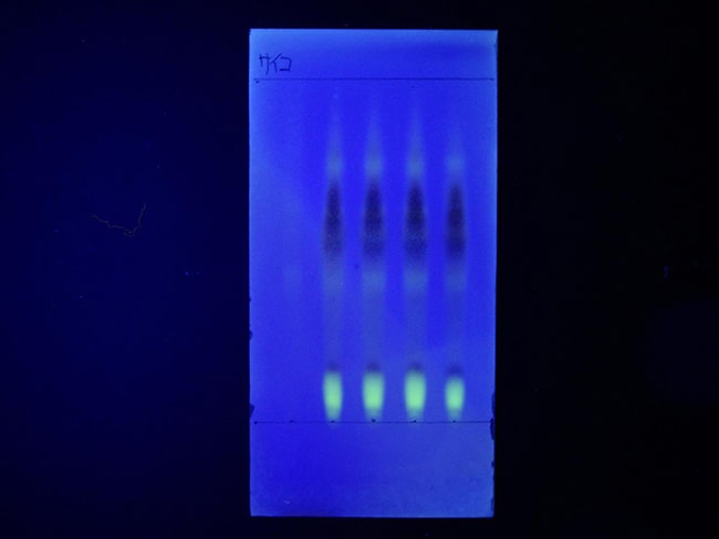 TLCプレート撮影例 写真